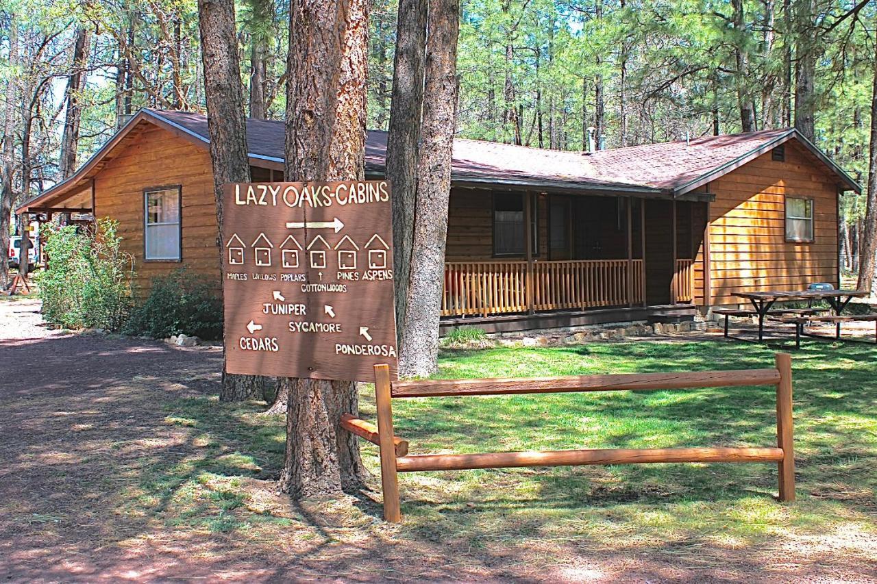 Lazy Oaks Resort パイントップ・レイクサイド エクステリア 写真